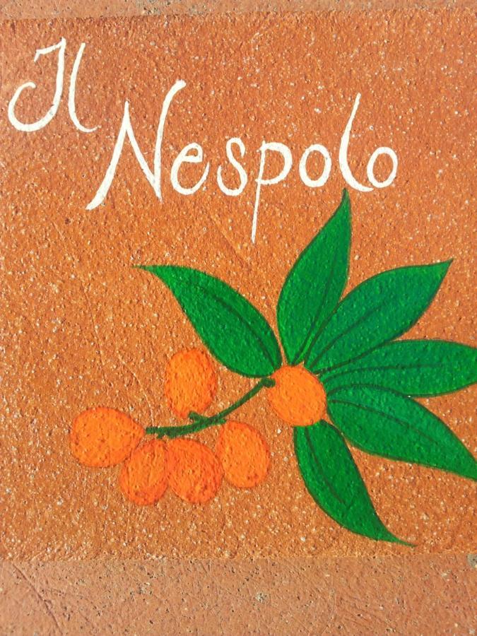 Appartamento Il Nespolo ポモンテ エクステリア 写真